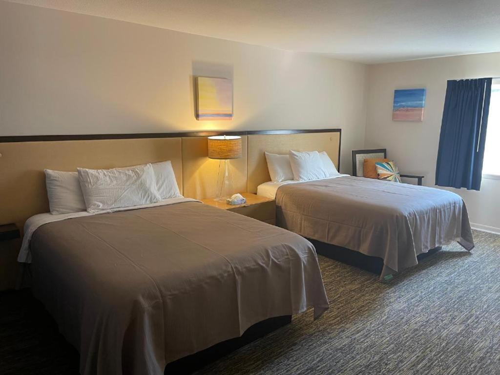 Camp Inn Lodge Au Sable Ngoại thất bức ảnh